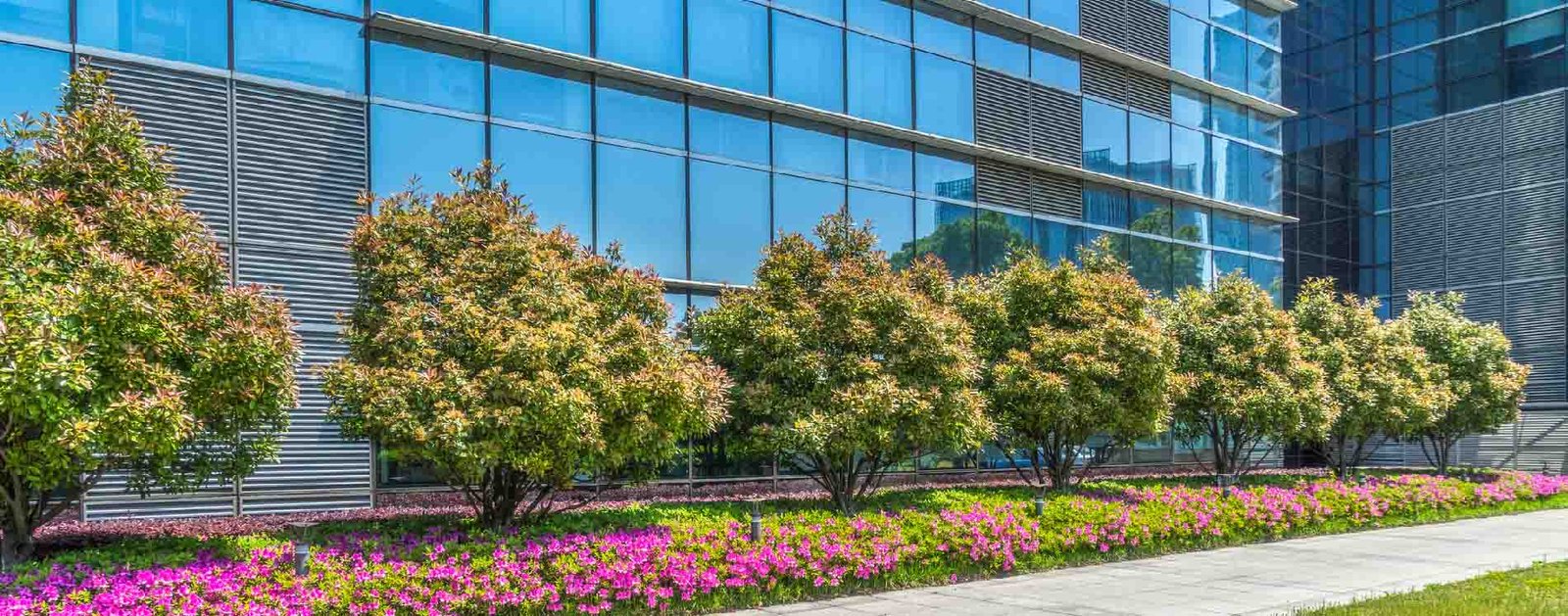 landscaping-slider-04